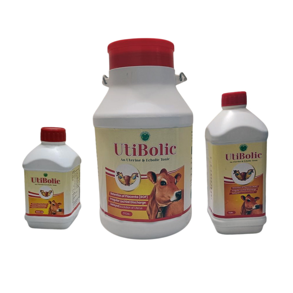 UtiBolic